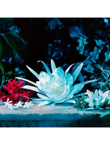 GUCCI - BLOOM EAU DE PARFUM INTENSE 100 ml