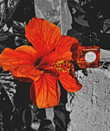 HERMÈS - TWILLY EAU POIVRÉÉ Edp 85 ml
