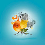 XERJOFF - ERBA PURE eau de parfum 100 ml