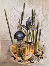 GUERLAIN - SHALIMAR Edp 100 ml (Tester)