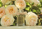CHLOÉ - Chloé Eau de Parfum 75 ml