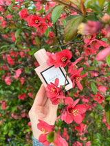 GUCCI - BLOOM EAU DE PARFUM 100 ml
