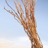 AZZARO - AZZARO WANTED Edt 100 ml